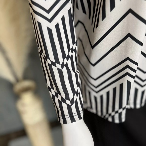 NWOT The Zig Zag Stripe Women’s Geometric Chevron Print Top Size Large Leng… - Picture 6 of 8